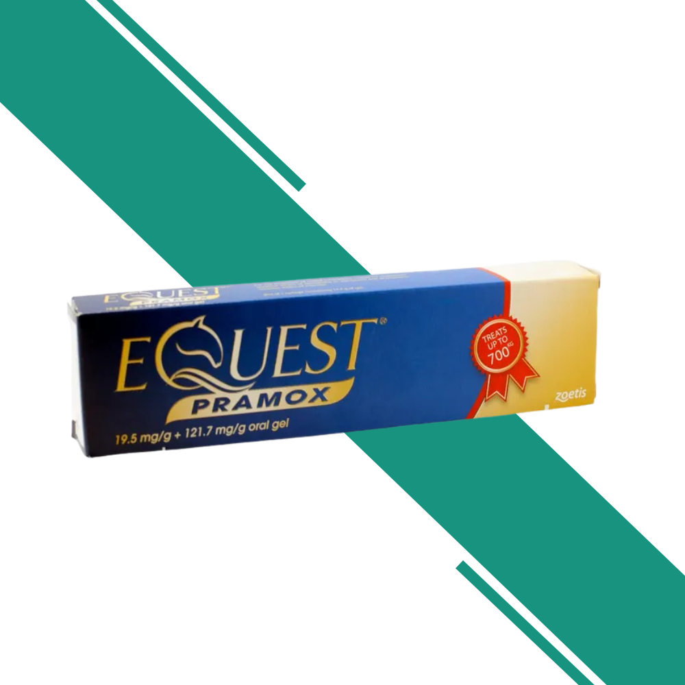 Equest Pramox Oral Gel - Single Syringe